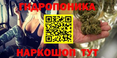 крисы Донской