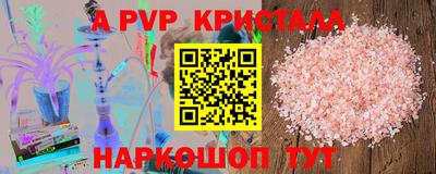 стафф Донецк